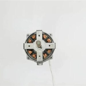 Popular in Southeast Asian Market Electric AC 220V 50Hz Stand Fan Motor with External Gearbox