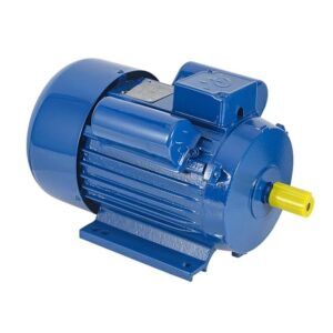 YL Series 90w 120w 180w 250w 370w 550w 750w 2800rpm Single Phase 220v Induction Ac Electric Motors