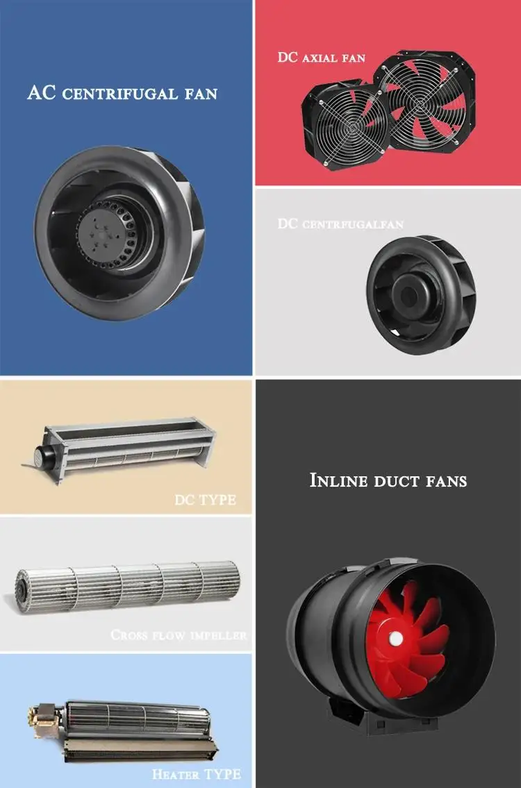 More products
