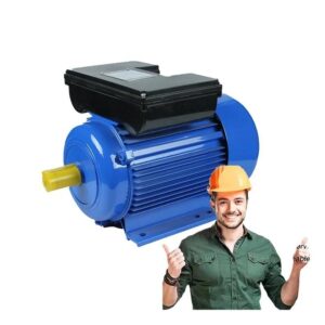 YL-63M2-2 Series 0.25KW 0.34HP 2P 2800RPM Asynchronous Electric Motor 110v 220v Single Phase Motors